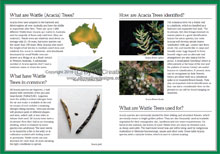 Green Guide Trees Of Australia Book Sample Page 3