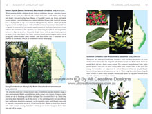 Rainforests of Australia's East Coast Book Trees Page 6