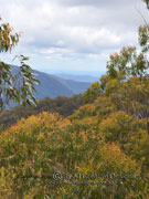Gibraltar Range Landscape NSW Australia