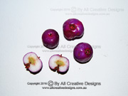 Fruit Purple Cherry Syzygium crebrinerve